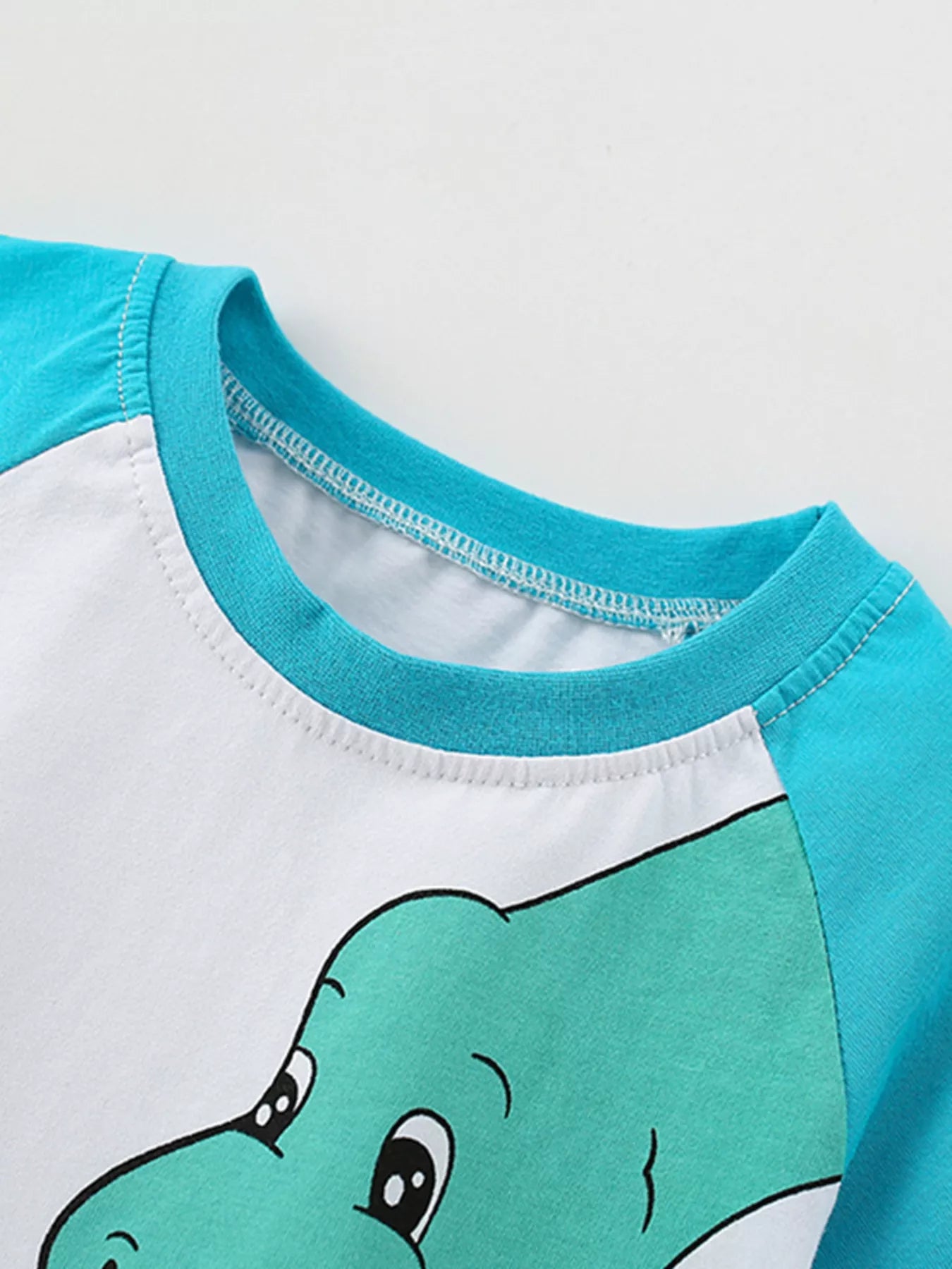 Children's Dinosaur Raglan Sleeve T-Shirt - Seedandsoulful
