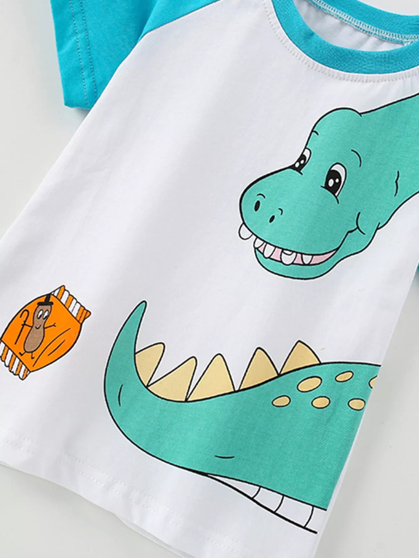 Children's Dinosaur Raglan Sleeve T-Shirt - Seedandsoulful