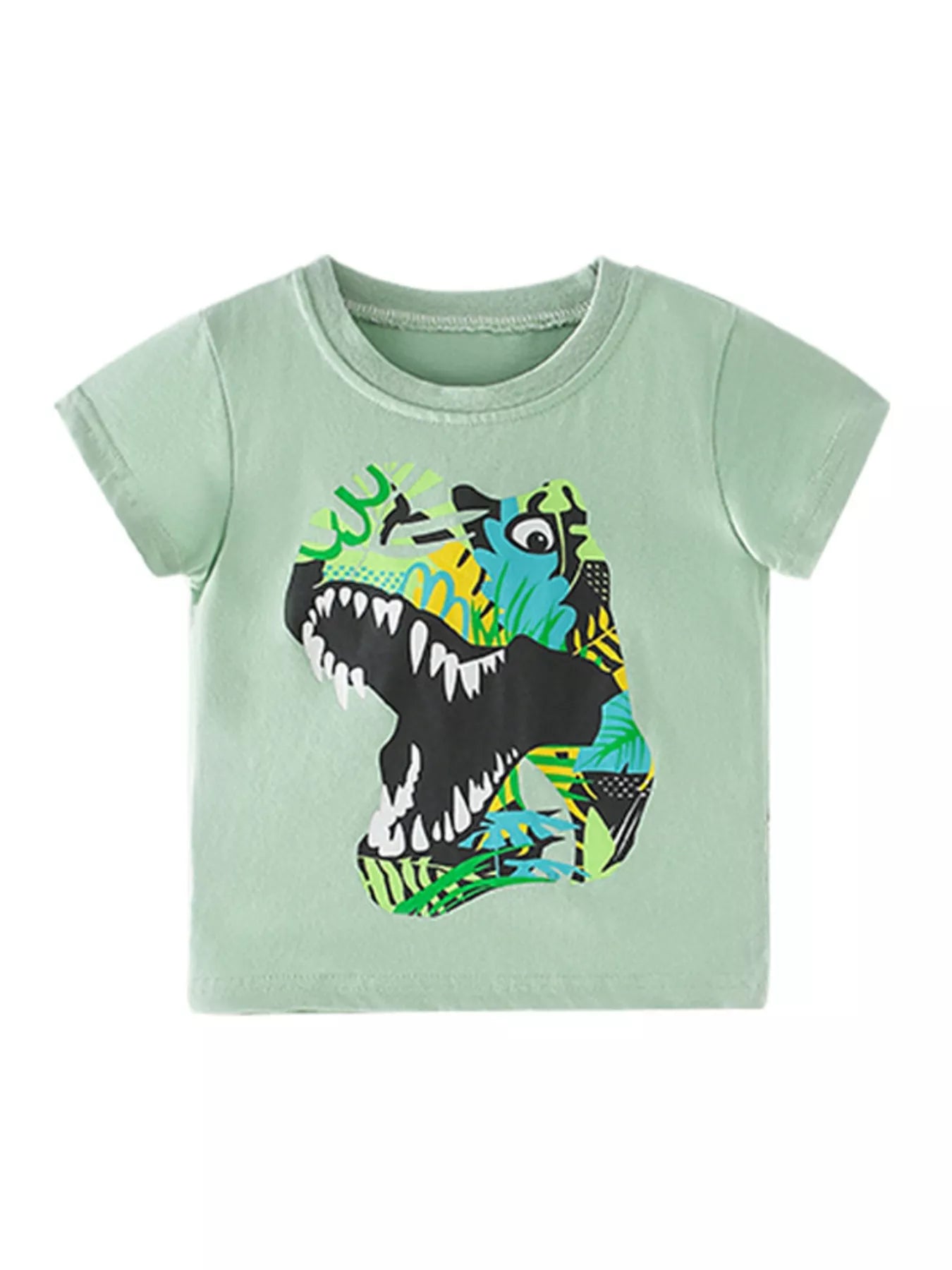 Children's Dinosaur Graphic Short Sleeve T-Shirt - Seedandsoulful