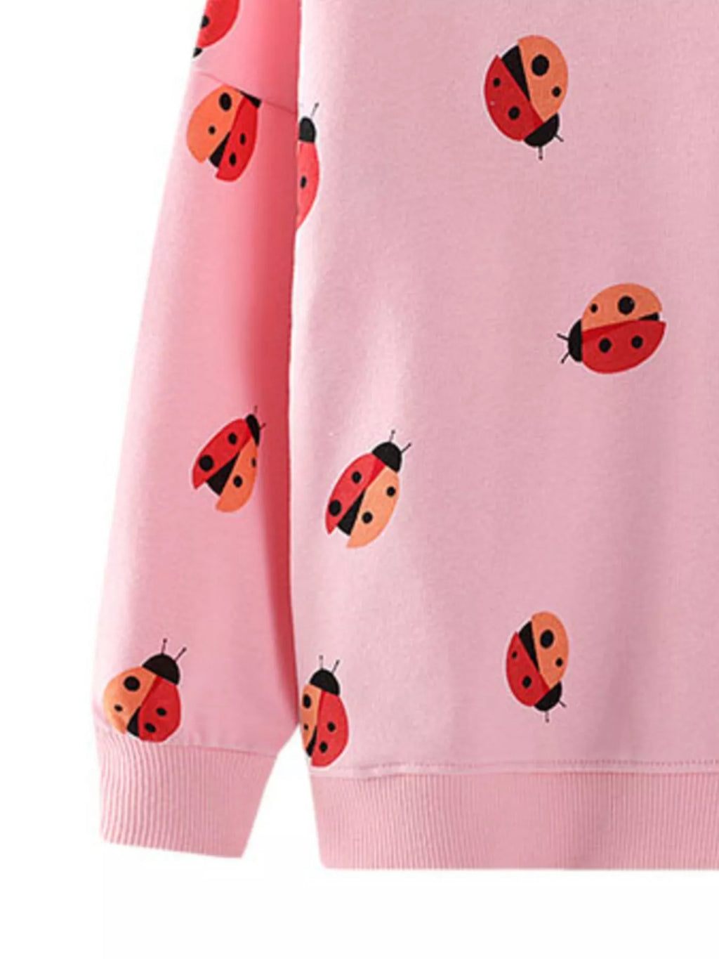 Children's Ladybug Print Crew Neck Sweatshirt - Seedandsoulful