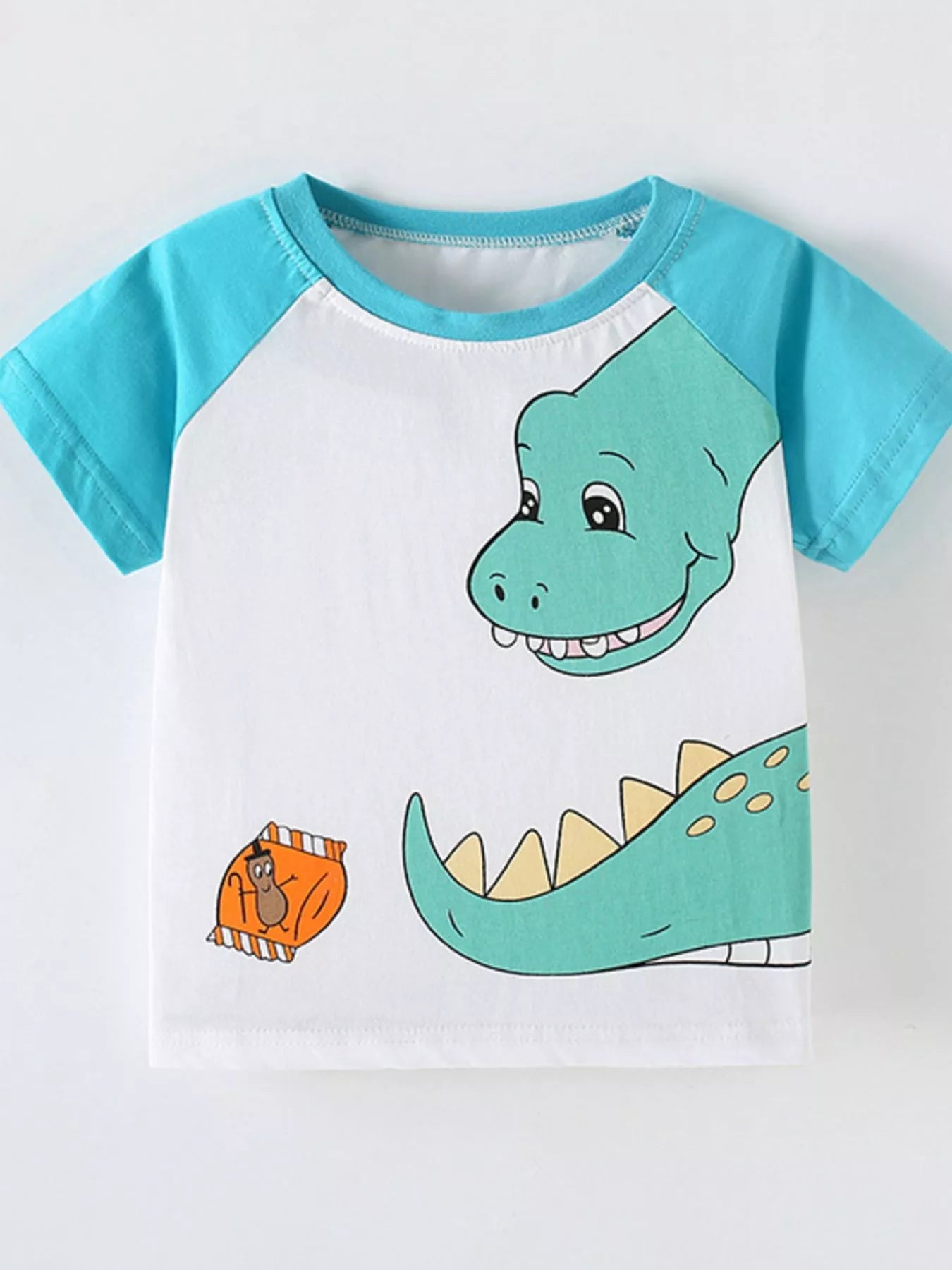 Children's Dinosaur Raglan Sleeve T-Shirt - Seedandsoulful