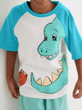 Children's Dinosaur Raglan Sleeve T-Shirt - Seedandsoulful