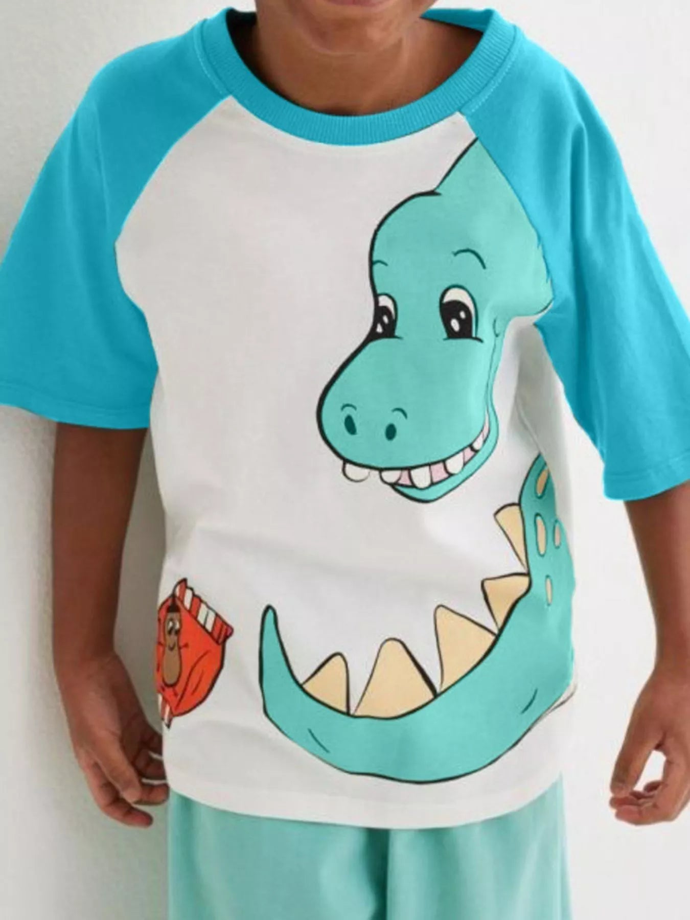 Children's Dinosaur Raglan Sleeve T-Shirt - Seedandsoulful
